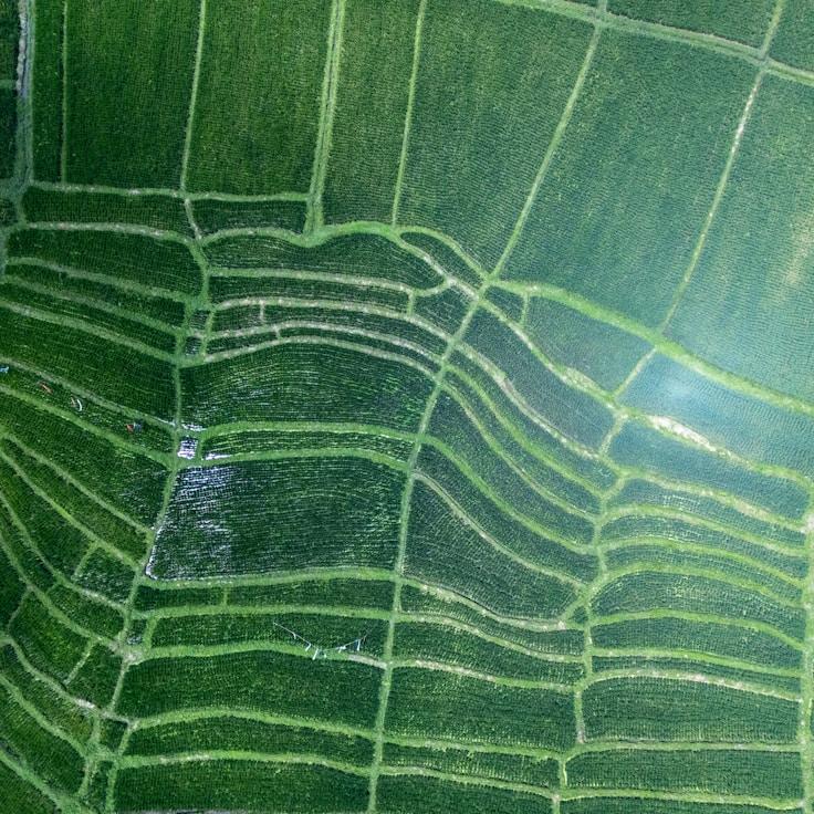 Outdoor terrace seating suitable for families in Toronto